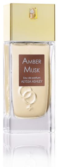 Musk amber hot sale perfume price